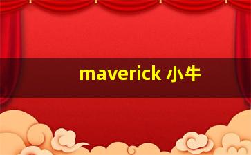 maverick 小牛